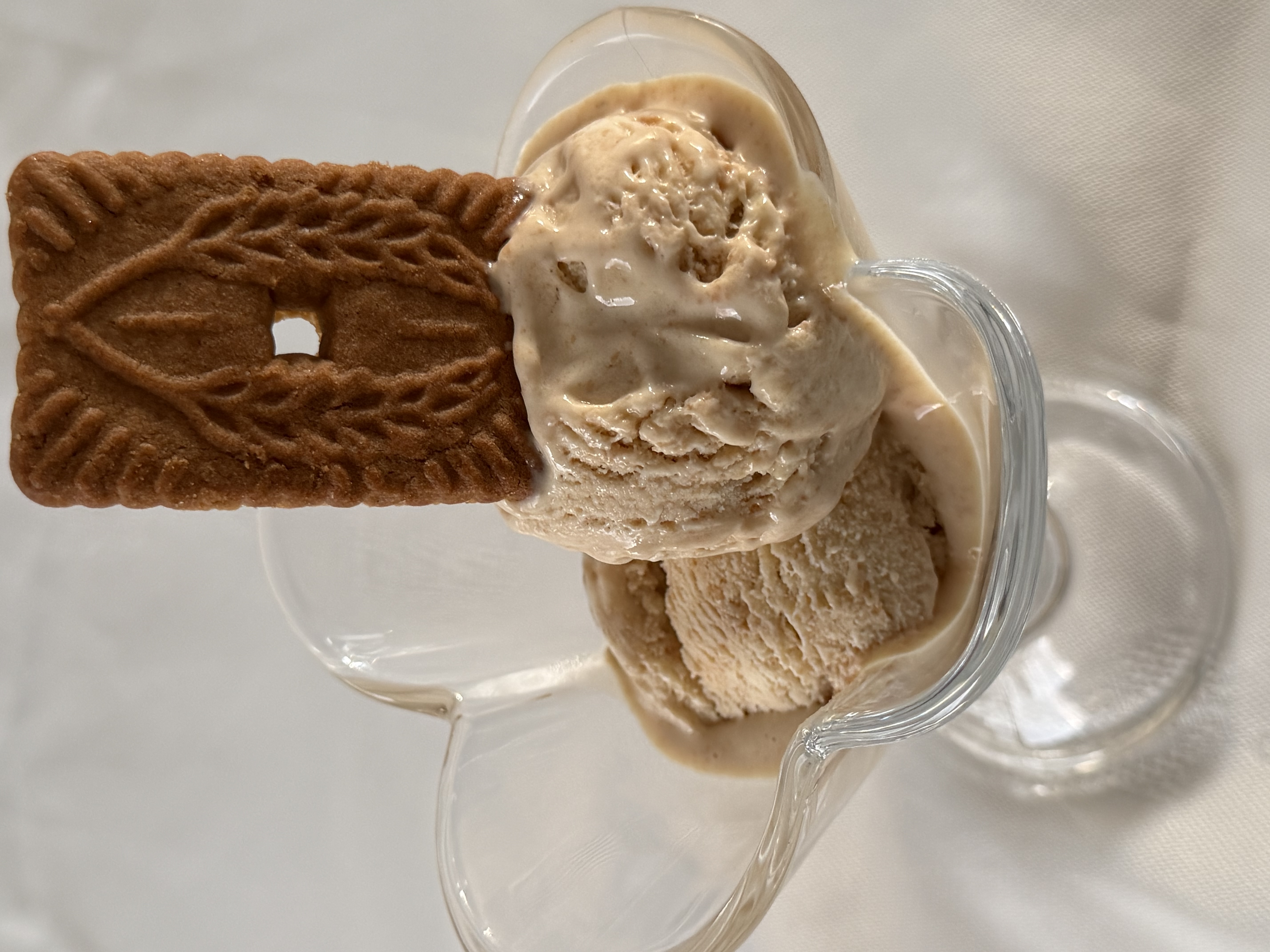 GLACE VANILLE SPECULOS